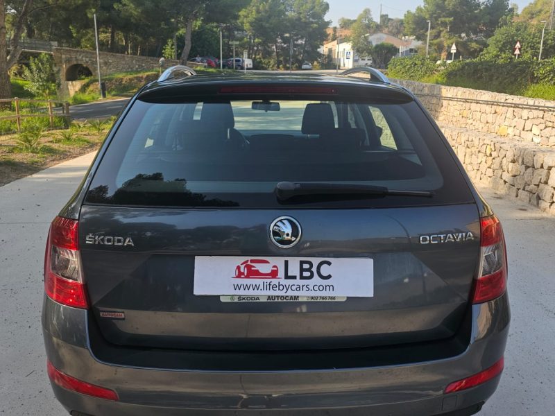 WhatsApp Image 2025-08-12 at 12.30.06 (3)