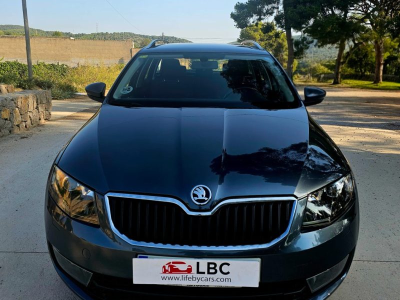 WhatsApp Image 2025-08-12 at 12.30.06